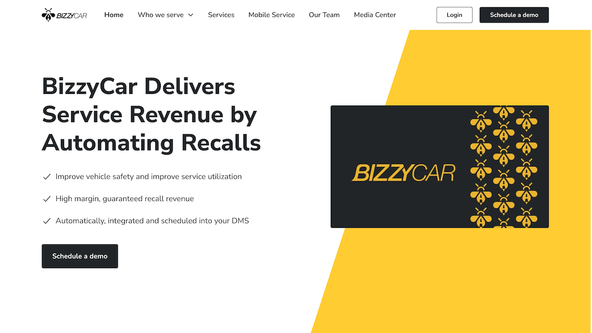 BizzyCar project overview