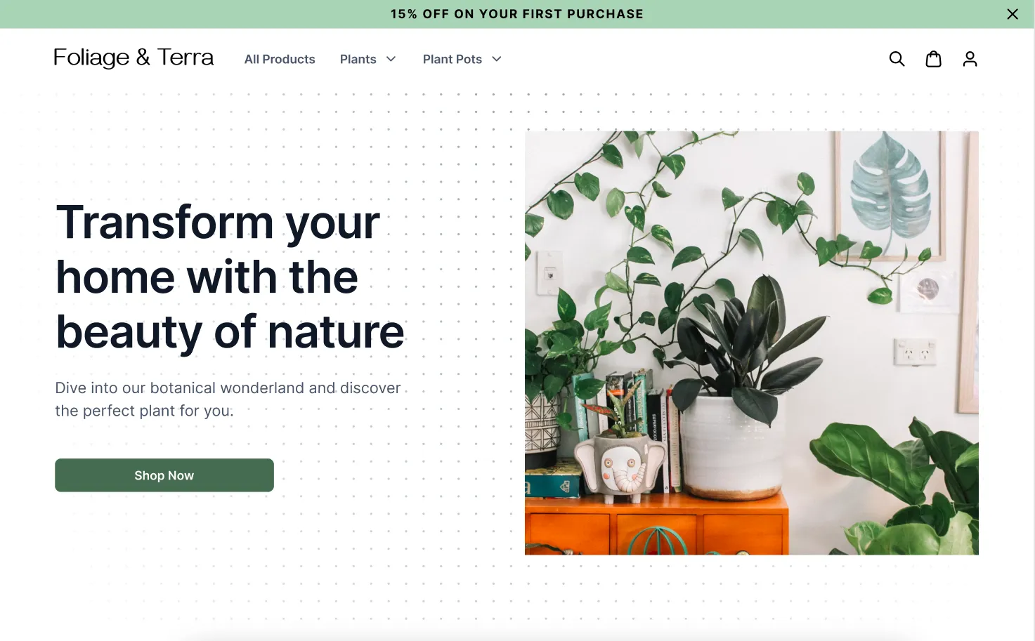 Shopify Plus: Elevating E-commerce with Custom Solutions project overview