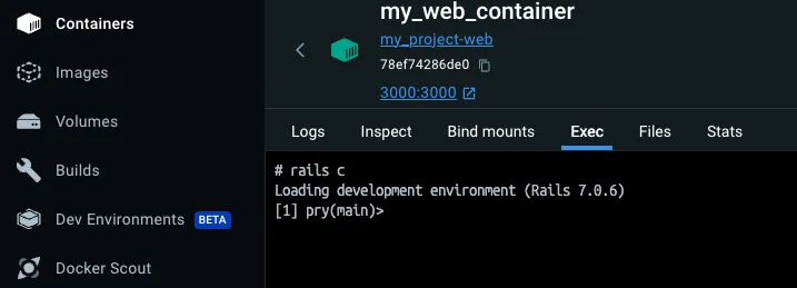 web service container console